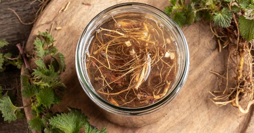 tisana de ortiga entre los remedios naturales para la osteoporosis